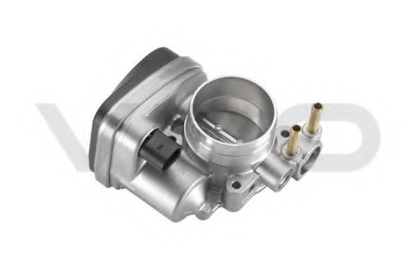 Gaz Kelebeği BLR-BLY-BLX- Pas6 2004-08 - 06F133062