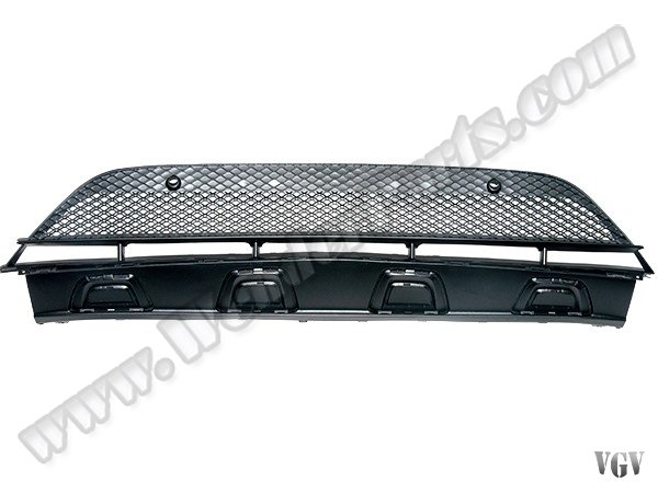 Tampon Izgarası X253 Ön Orta 2015- - 2538852400