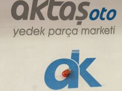 Dipsiz Ampül Turuncu Park Ampülü