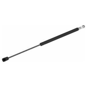 BAGAJ AMORTİSÖRÜ BMW ARKA SAĞ-SOL E46 3 SERİSİ 1998-2003 51248254281