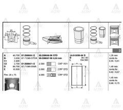 Piston Segmanlı H-100  94-96 / L-300 87-97 Std